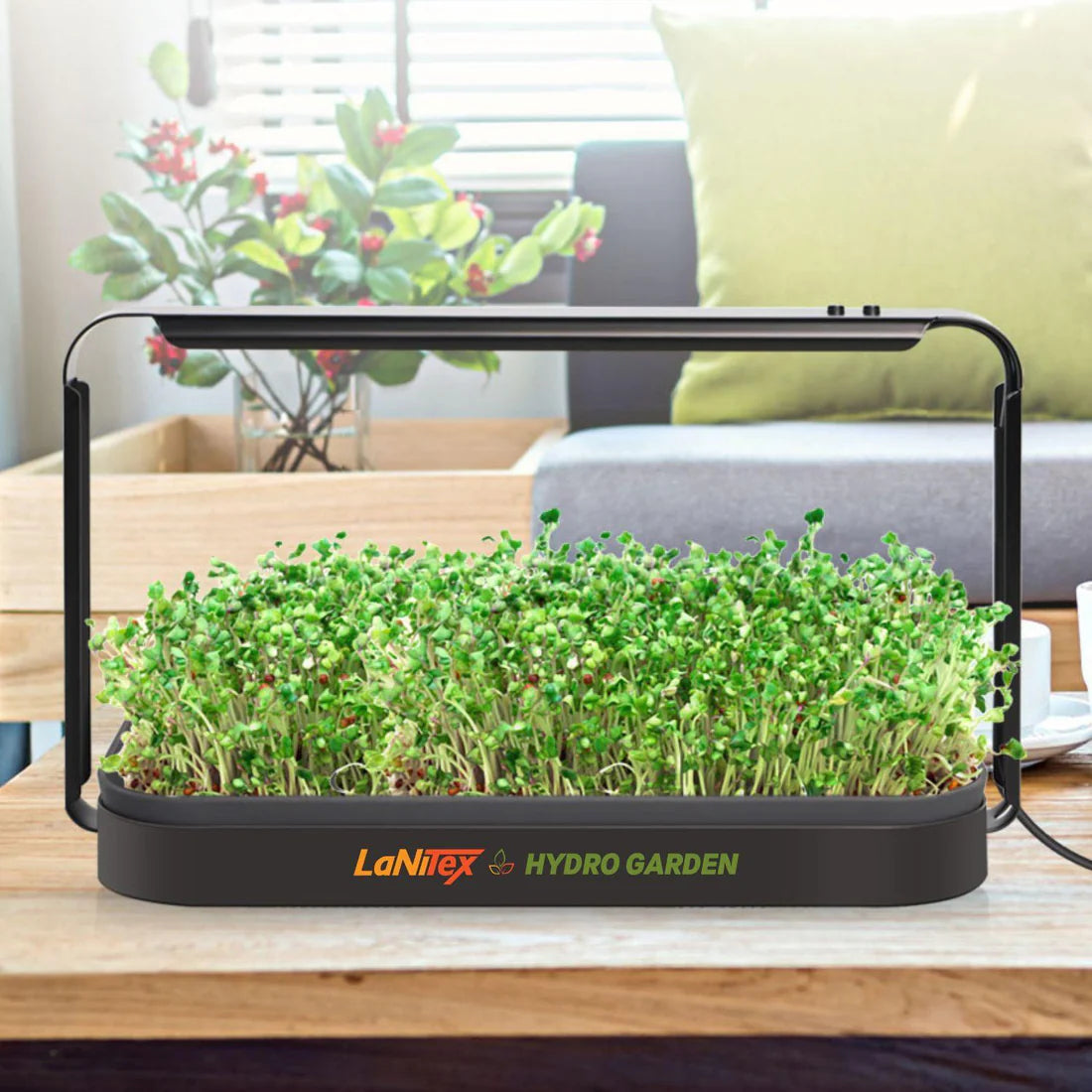 LaNiTex Smart Microgreen Kit black metal style