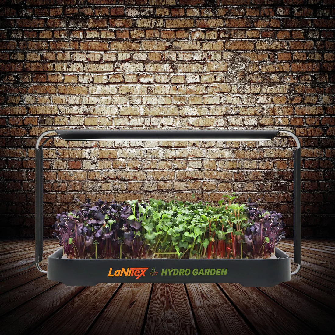 LaNiTex Smart Microgreen Kit black metal style