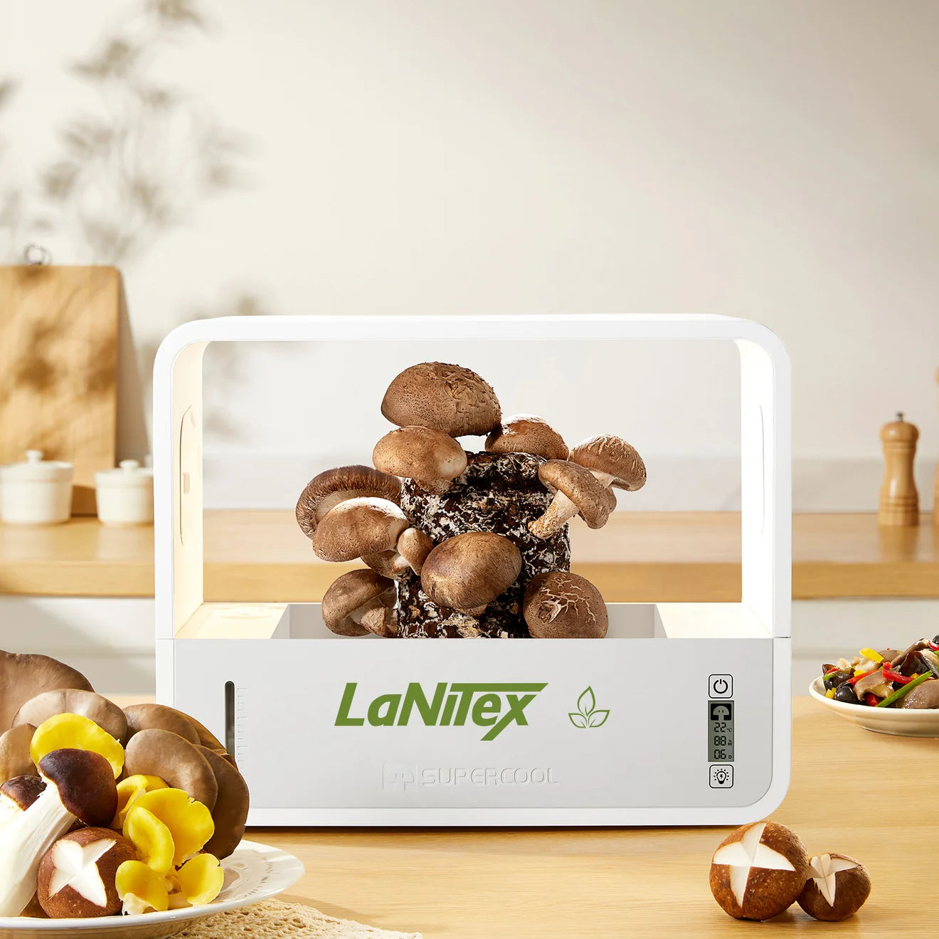 LaNiTex Smart Mushroom Growing Box