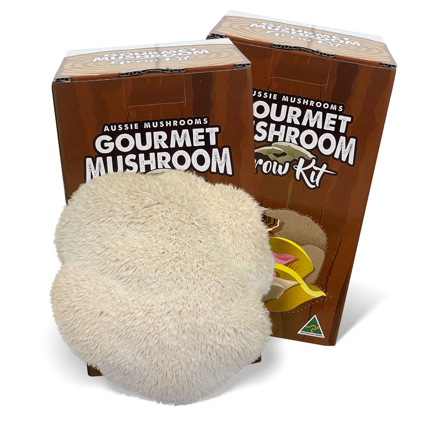 Lions Mane - Edible Aussie Mushroom Grow Kit Gourmet