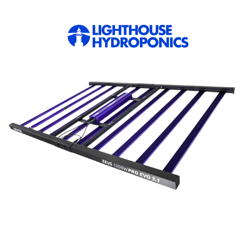 LUMATEK Zeus 1000w Pro EVO 3.1 LED