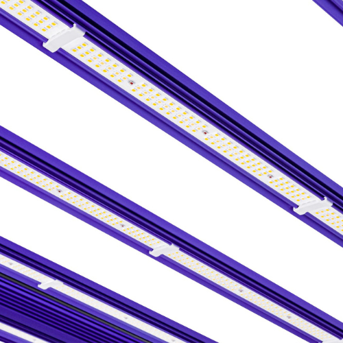 LUMATEK Zeus 1000w Pro EVO 3.1 LED