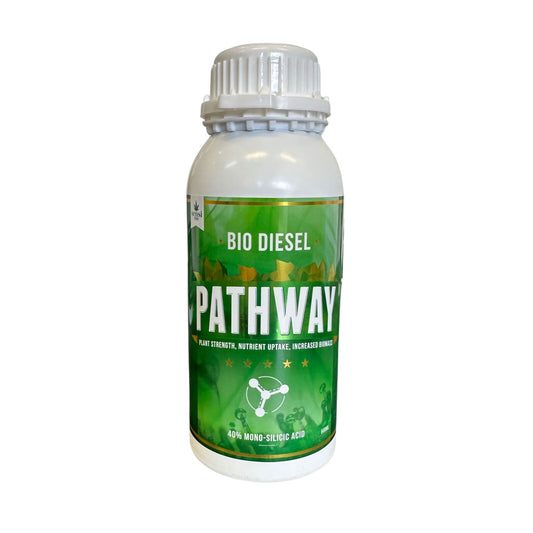 Pathway 40% Mono Silicic Acid