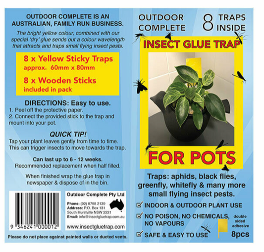 Insect Glue Trap for Pots 8 Traps Pack - Sticky Fly Trap