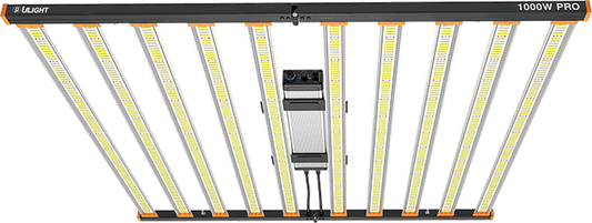 1000 Watt 10-Bar LED