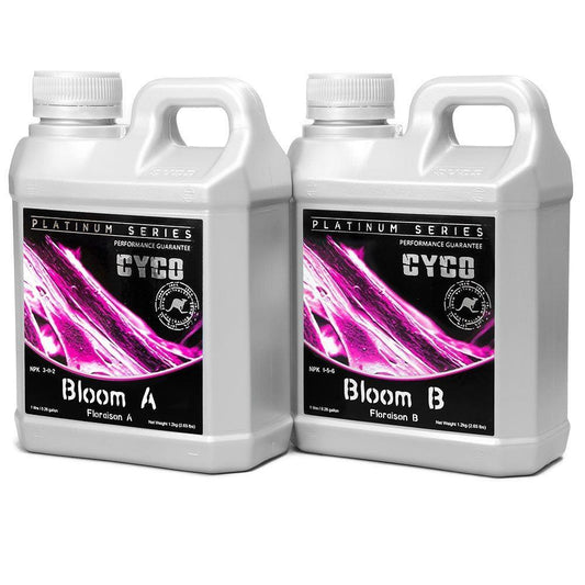Cyco Bloom A&B