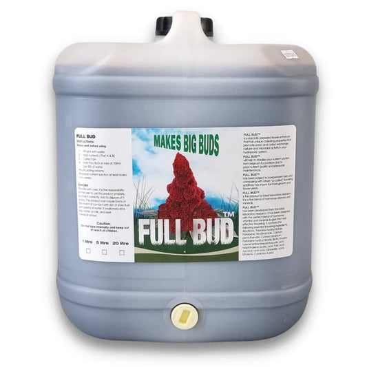 Full Bud 20L