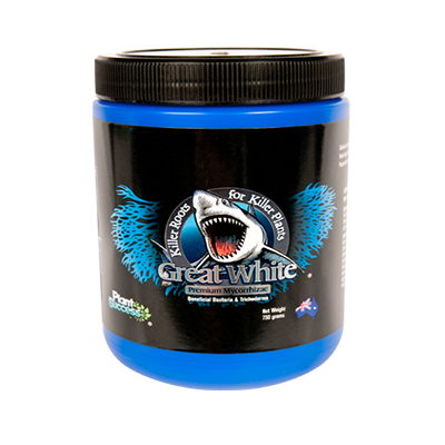 GREAT WHITE SHARK MICROBIAL
