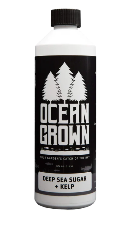 Ocean Grown - Deep Sea Sugar & Kelp (Chitin & Kelp) Dr Greenthumbs - 500ml