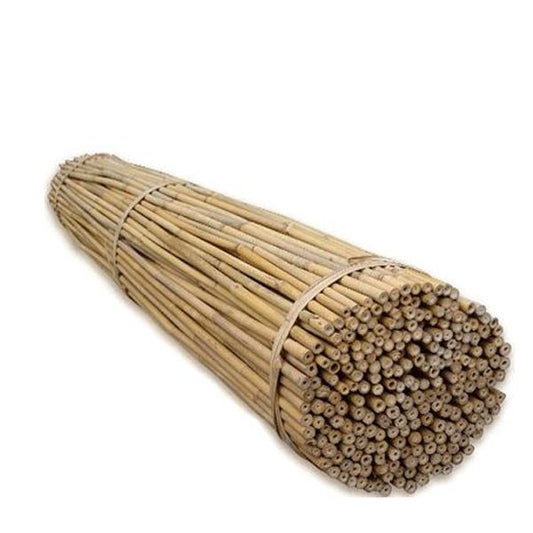 Bamboo Cane 20-22mm 180cm NATURAL EACH PRICE